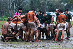 Read more about the article Scrumbut